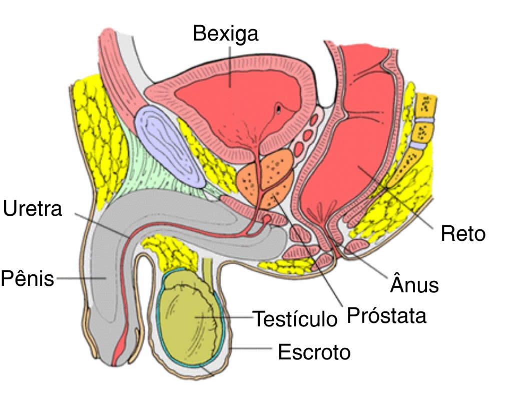 image21